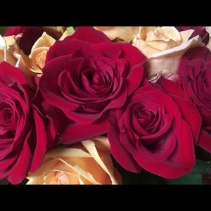 Meet your Posher, Veronica